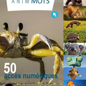 Anim'Mots : 50 accès numériques