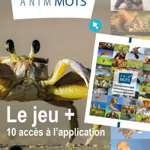 Anim'Mots : le jeu+10 accès