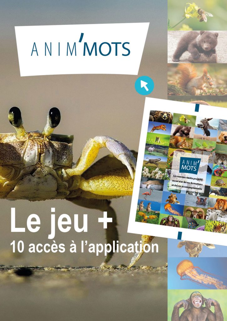 Anim'Mots : le jeu+10 accès