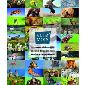 Anim'Mots