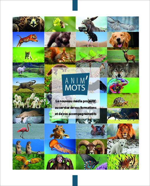 Anim'Mots